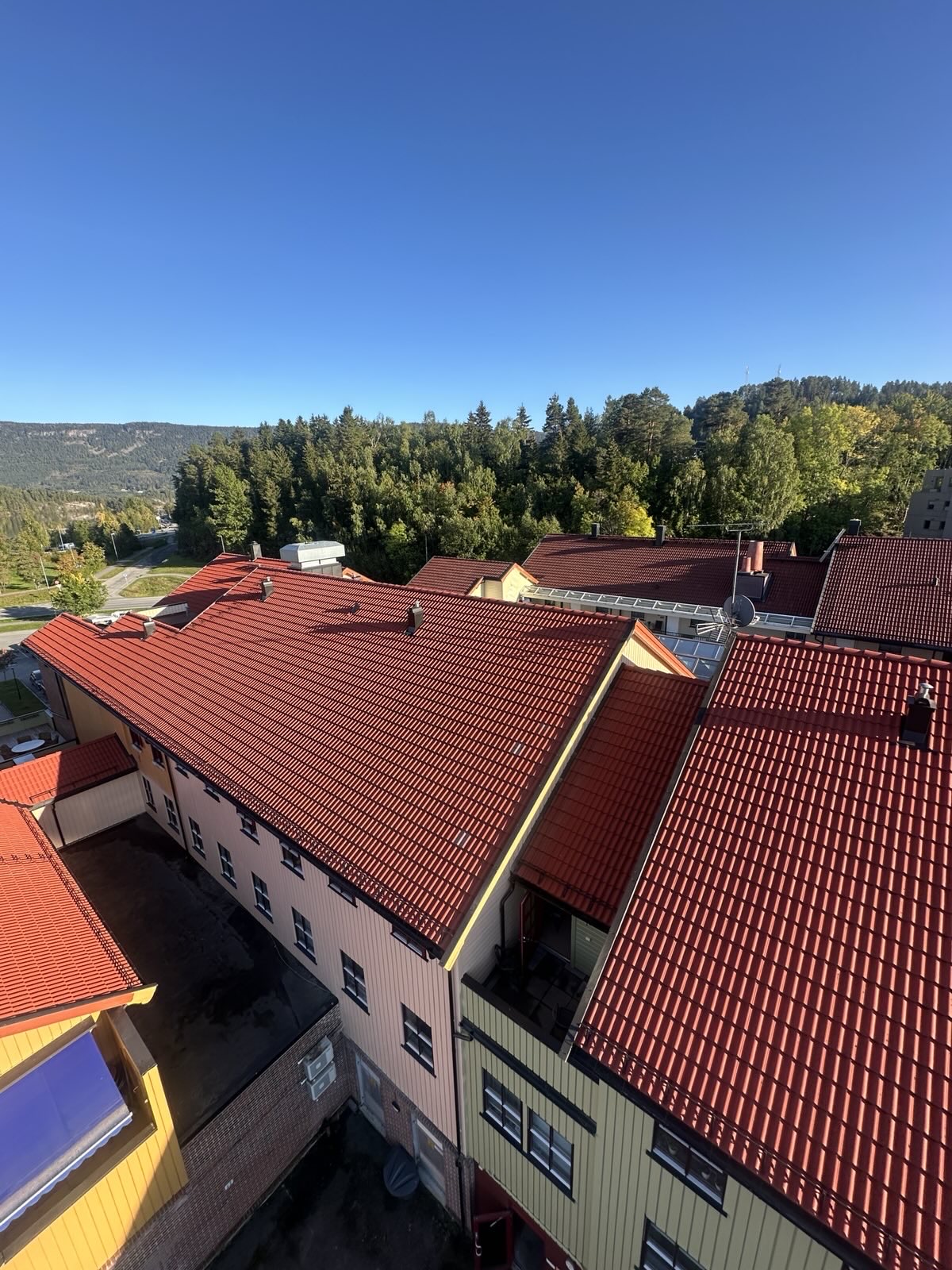 Vik Torg